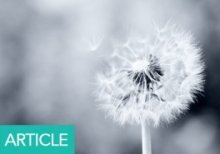 EIS: Overview for Advisers