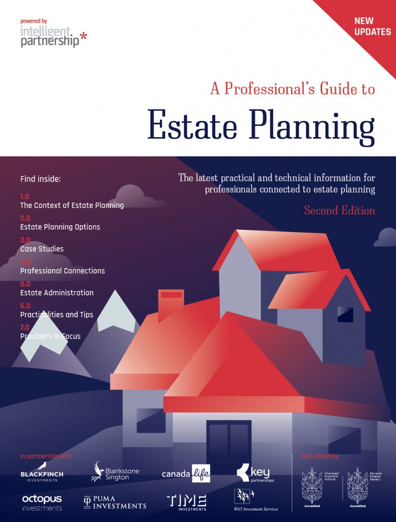 Professional's Guide to Estate Planning - Second Edition