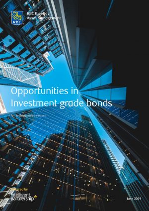 Guide | Opportunities in investment grade bonds